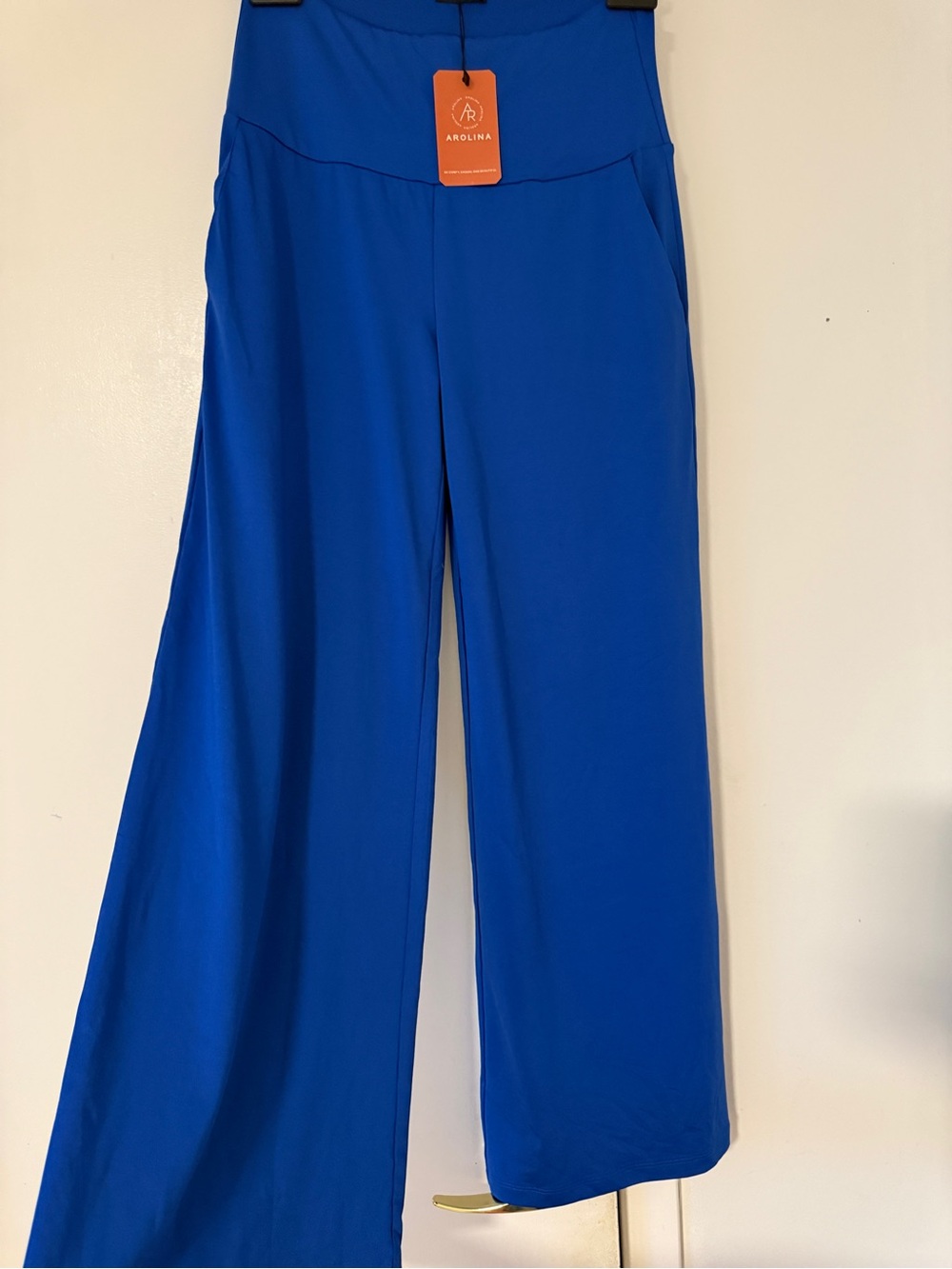 Arolina Wide-Leg Pants in Cobalt Blue